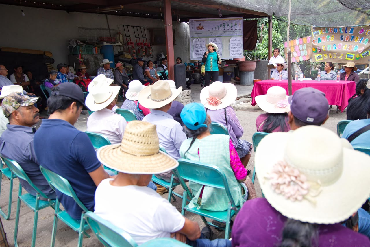 Click to enlarge image 01_d7969c7c1d3af900.jpg