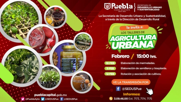 Ayuntamiento de Puebla impulsa la agricultura urbana con talleres virtuales