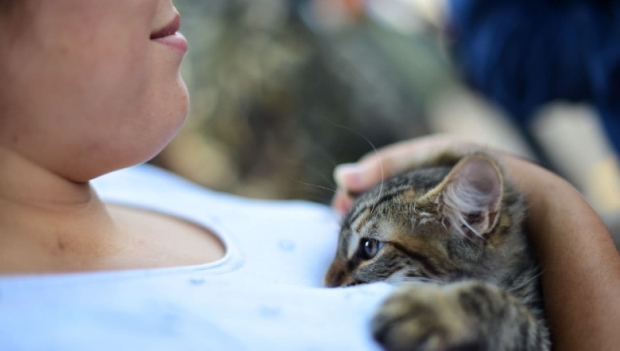 Ayuntamiento de Puebla invertirá 11.9 mdp para dignificar Centro de Protección Animal Zona Sur