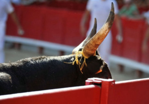Desechan propuesta de prohibir toros en Puebla capital