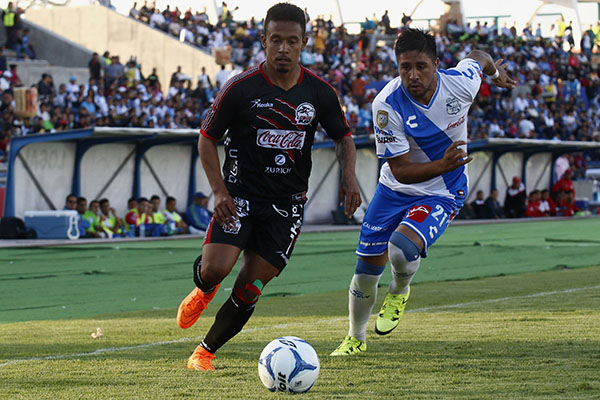 Click to enlarge image lobos buap_2.JPG