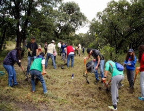 Reforestaron dos hectáreas en La Calera