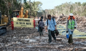 Tren Maya: Juez federal ordena suspensión definitiva de obras en tramo 5