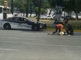 Bulevar 5 de mayo el más peligroso para peatones