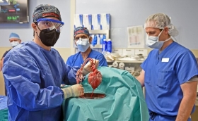 Muere el hombre que recibió el primer trasplante de corazón de cerdo