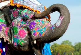 En marzo se celebra el impresionante Elephant Festival de Jaipur, la capital de Rajastán.